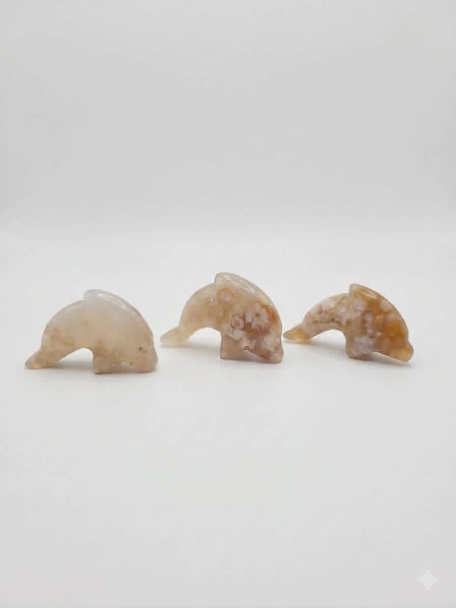 Dauphins d'Agate Fleurs – Vibration Florale & Magie Marine | Quartzy
